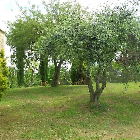San Martin Del Colle Casciana Terme