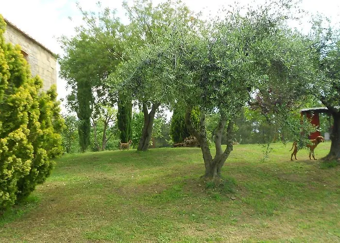 San Martin Del Colle Casciana Terme